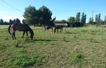 Les prairies Mas Roux - Foto 5