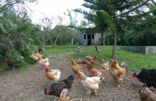 Atlantico Apartments - Photo 60