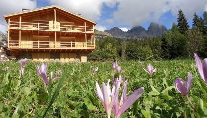 Tabiá sui Prá - appartamento monolocale Anna - Foto 4