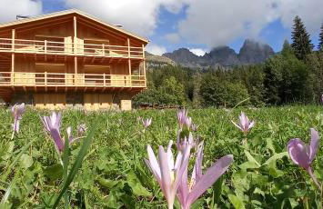 Tabiá sui Prá - appartamento monolocale Anna - Foto 4