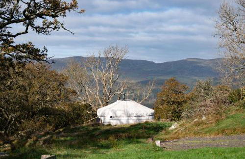 Finest Retreats - Pandy Traditional Yurt - Foto 7
