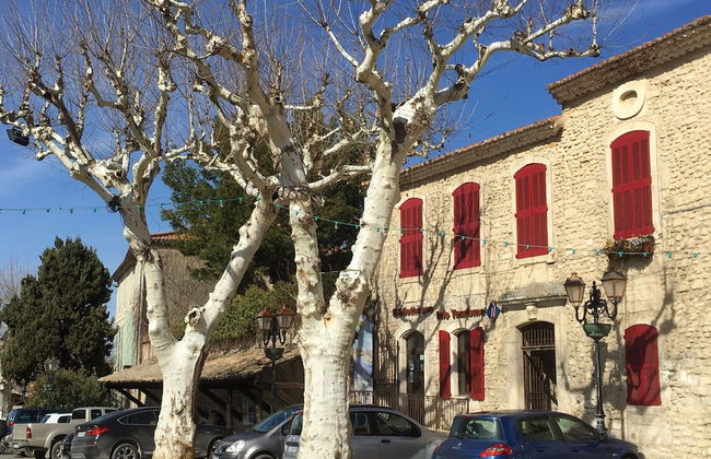 Beautiful Villa With Pool Near St.remy-de-provence - Foto 52