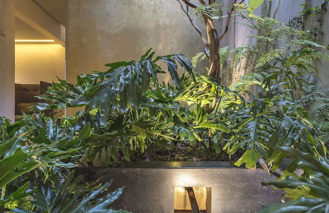 V65 Mexico - Foto 45