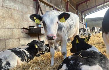 Lower Thornton Farm - Foto 19