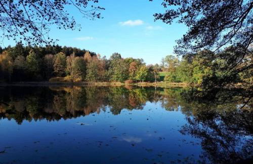 Quiet Comfort in Oelsnitz - Foto 13