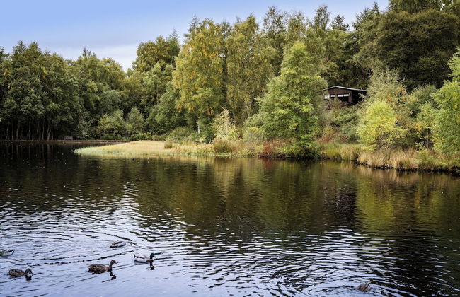 Macdonald Lochanhully Woodland Club - Foto 54