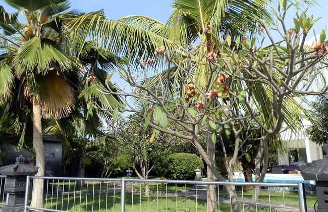 Villa Cymopoleia - Foto 23