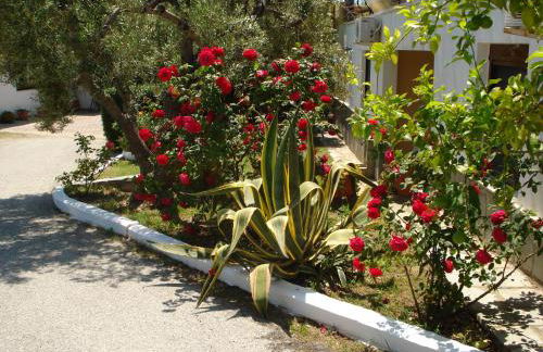 Asteris Village - Foto 18