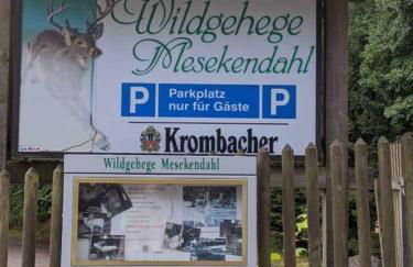 FeWo Flick - Foto 20