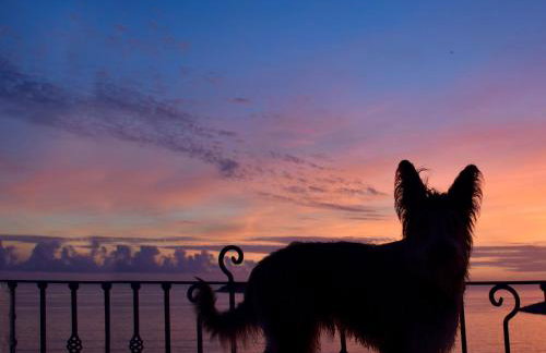 Villa Kamen Green - Photo 34