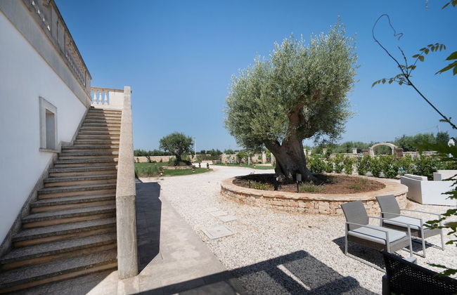WePuglia - TERRATERRA - Masseria Minunni - Foto 53