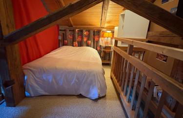 La CHACUNIERE GRAND CHALET ST NICOLAS DE VEROCE, PRES DES PISTES - Photo 17