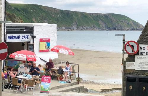 Two Bedroomed Holiday Cottage with Sea Views - Foto 38