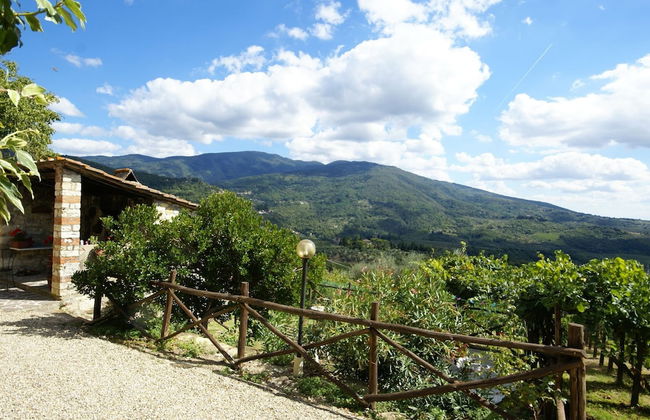 Agriturismo Poggio di Montepescoli - Il Noce - Foto 23