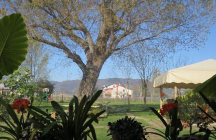 Agriturismo L'Albara - Wines, Pool & SPA - Foto 38