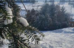 Apartament Nad Tatrzańską Pasieką - Foto 32