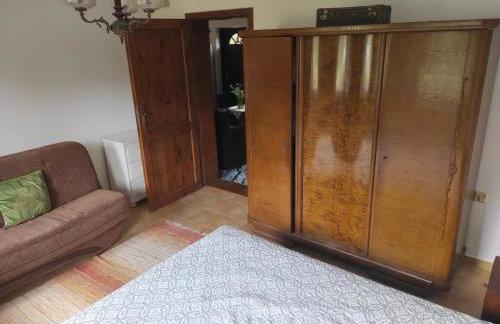 Biały Dzik Uszyszek - Foto 8