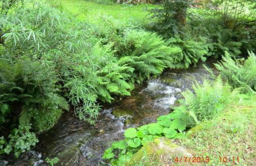 Wohnung in Lauterbach Nahe Skipisten - Foto 50