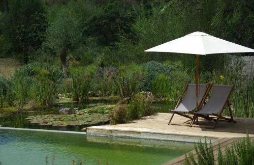 Quinta do Arade - casa 4 pétalas - Foto 28