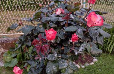 Happy Home LP - Photo 16