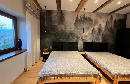 Dom Grabowa z sauną , podgrzewanym basenem i balią z hydromasażem - Foto 5