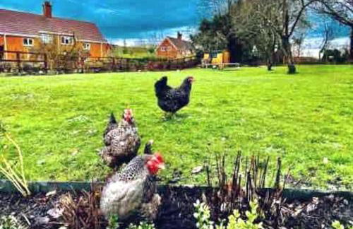 Perfect Cottage Hideaway in the Divine Pewsey Vale - Foto 59