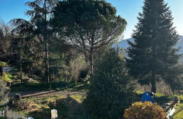 Le camelie 2 di Francesca - Foto 3