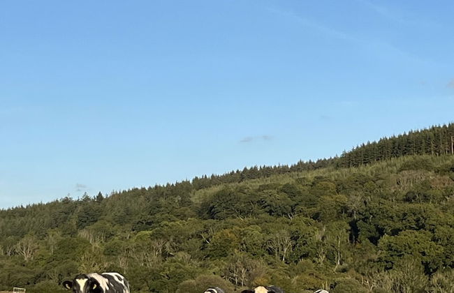 Lower Thornton Farm - Foto 35