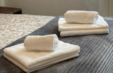 Apartahotel Canfranc - Foto 18