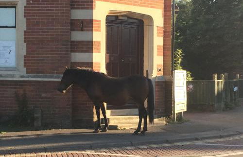 Brockenhurst Apartments - Foto 32