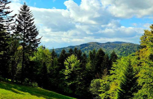 Hytta Eliaszówka - Foto 32