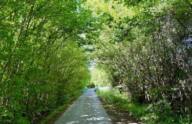 Maison de l'Ardoise - Foto 30