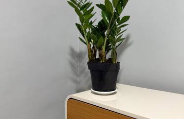 Apartamento no centro de Cuiaba até 3 pessoas - Foto 22