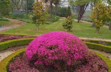 Casal do Arcebispado - Foto 51