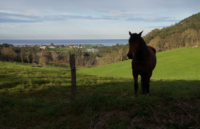 Apartamentos La Collada - Photo 55
