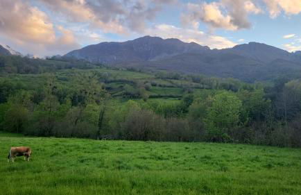 Ribeles Luxury Flat - Foto 39