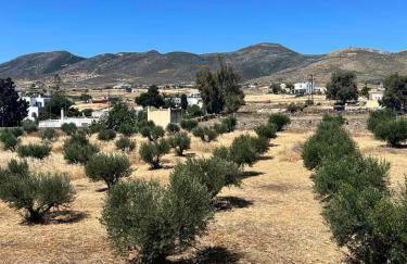 The Olive House - Photo 11