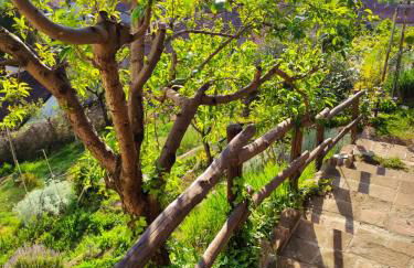 Casa Mantel Panoramic view in Langhe - Foto 57