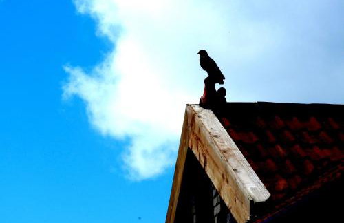 SAUNTON SUNSHINE COTTAGE 3 Bedrooms - Foto 14