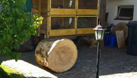 Ferienwohnung Rucksack-Bimbes - Foto 5