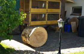 Ferienwohnung Rucksack-Bimbes - Foto 5