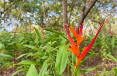 Container Azul na beira do rio e a poucos metros do mar em mogiquiçaba bahia - Foto 21