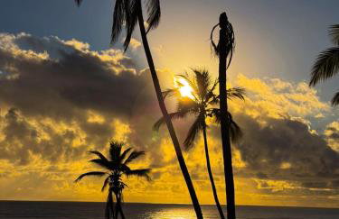 Vog Marine - Apartamento pé na areia - Foto 39