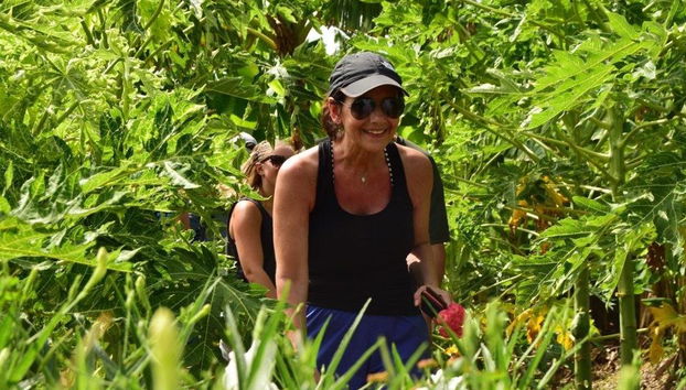 Golfcart-Öko-Tour in kleiner Gruppe - Foto 4