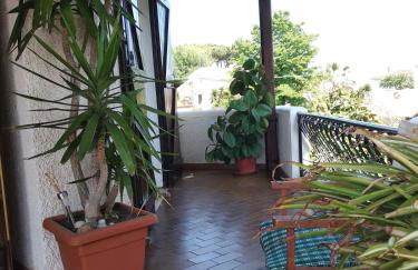 Alimede al Circeo - Foto 62