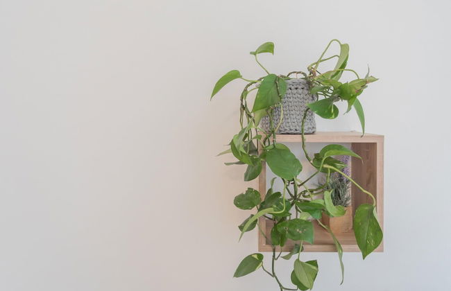 Nonna Tere Apartment - Foto 46