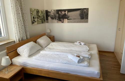 Ferienwohnungen Ollarzried - Foto 17