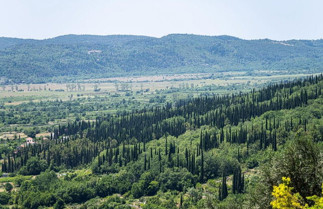 Villa Oliva - Foto 14