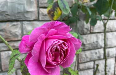 Casa Donatella - Photo 5