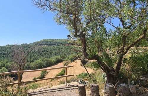 Cal Sastre - Foto 14